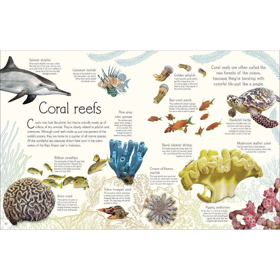 An Anthology of Aquatic Life