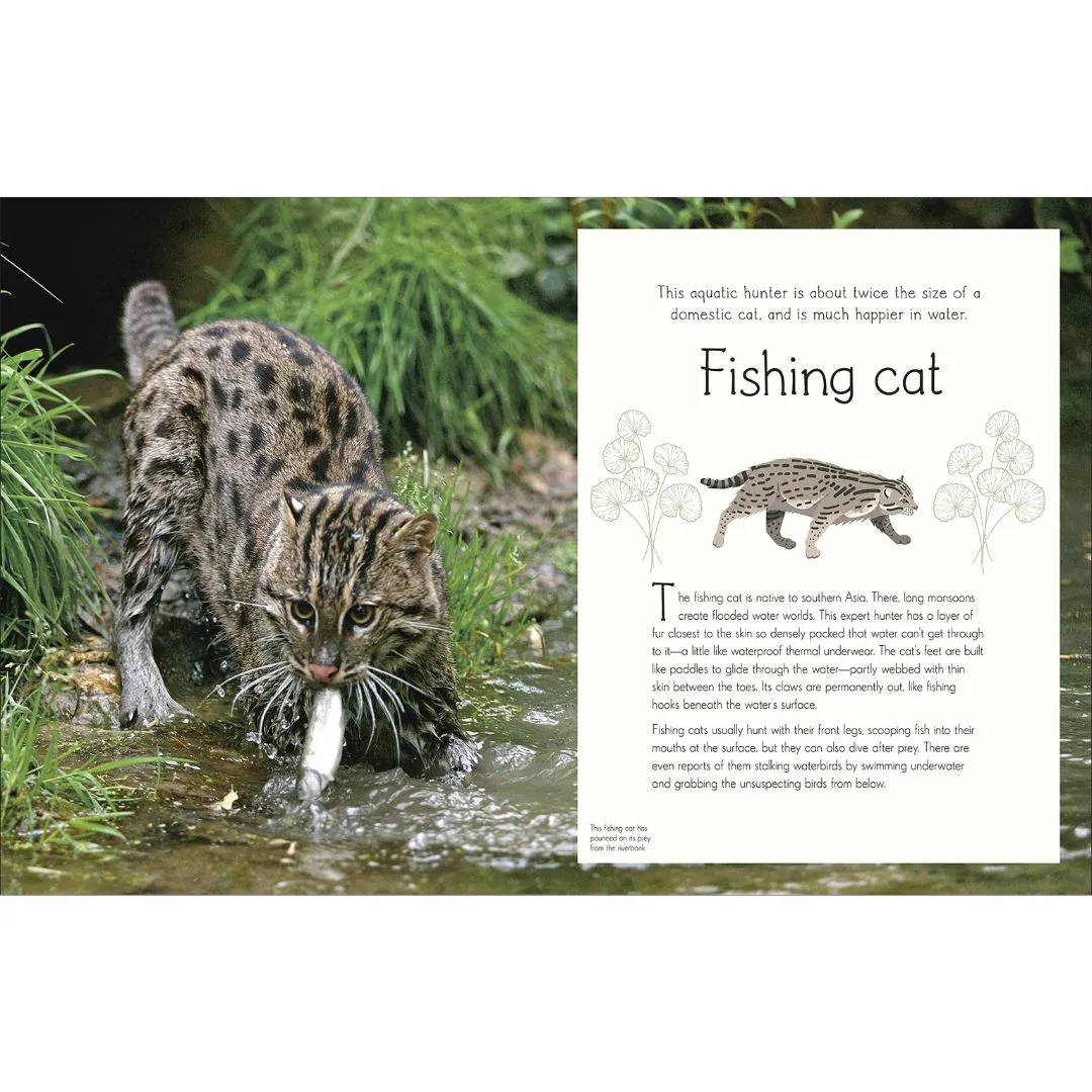 An Anthology of Aquatic Life