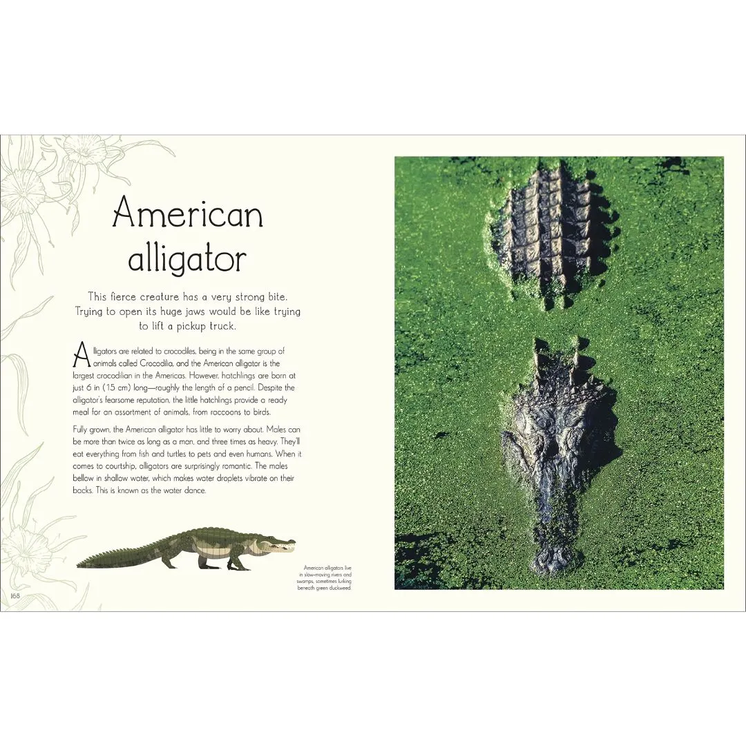 An Anthology of Aquatic Life