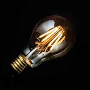 ANKUR GLO CLEAR A60 LAMP