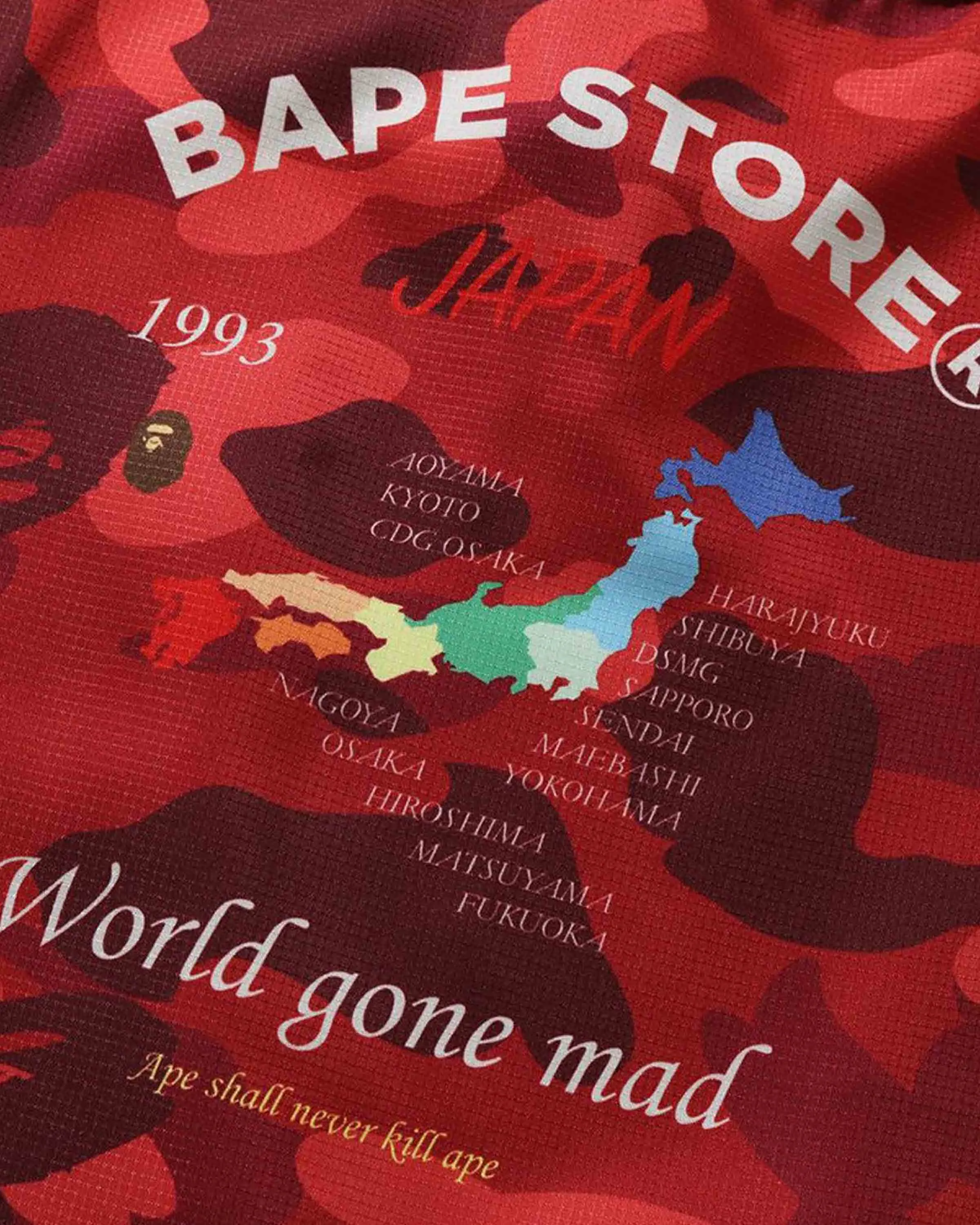 BAPE COLOR CAMO SHOPPING BAG L