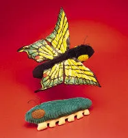 Caterpillar/Butterfly (Represents Transformation/Change)