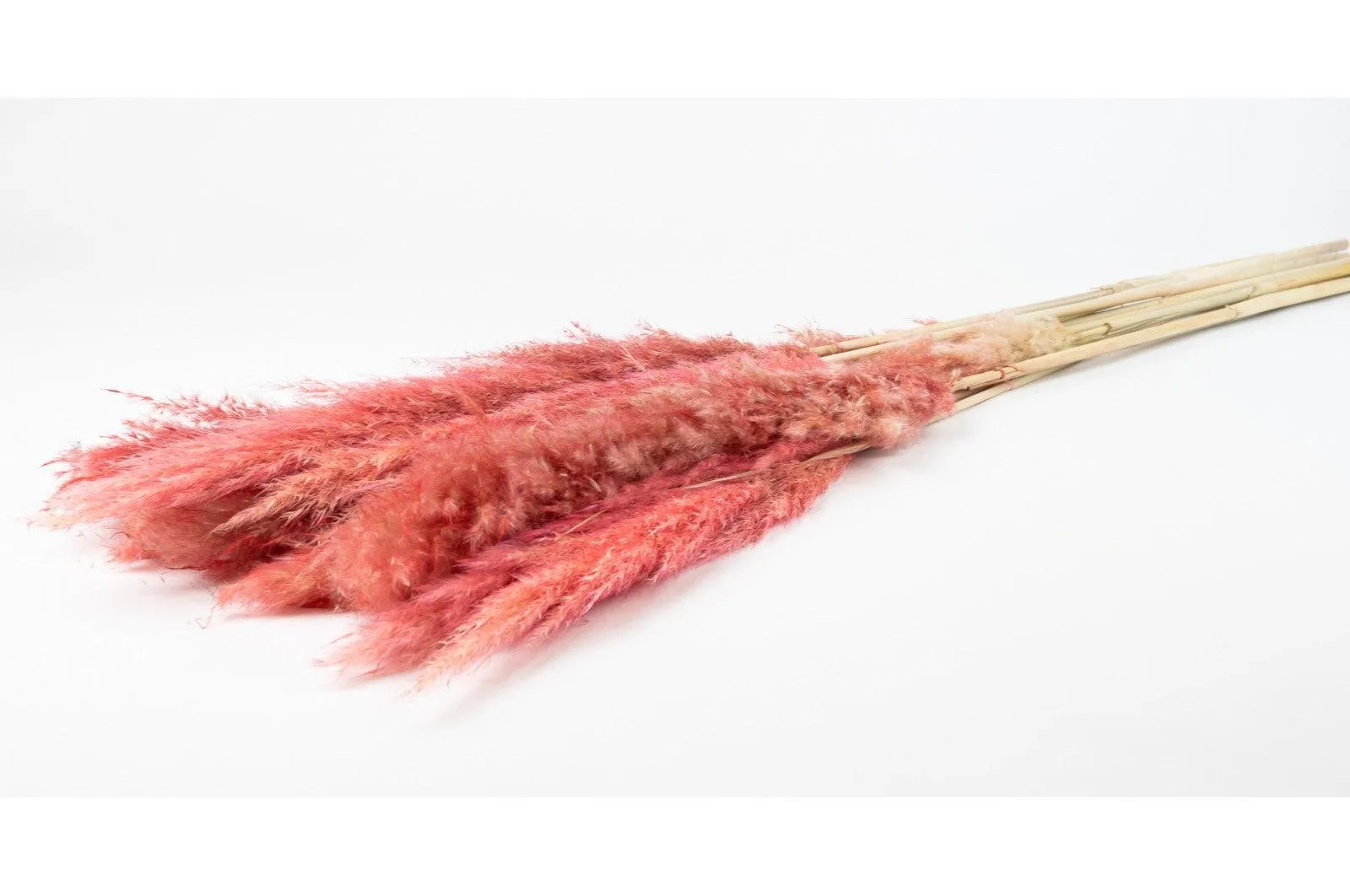 French Pink Pampas Bouquet