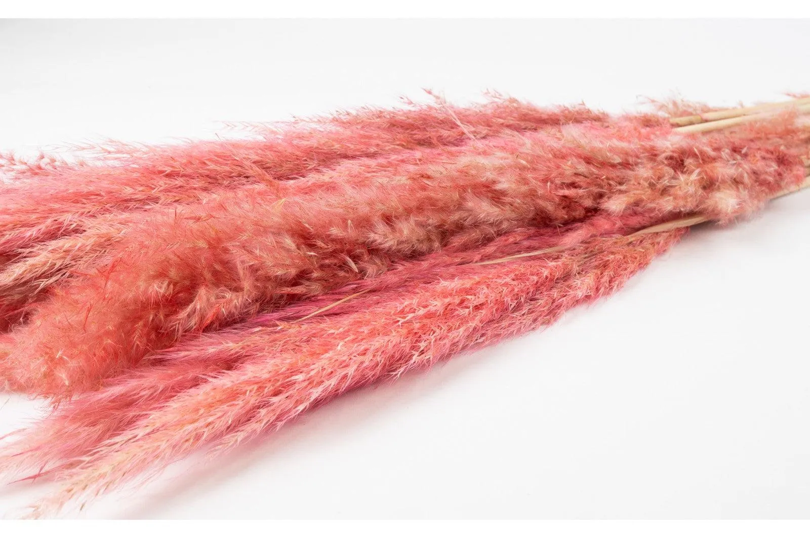 French Pink Pampas Bouquet