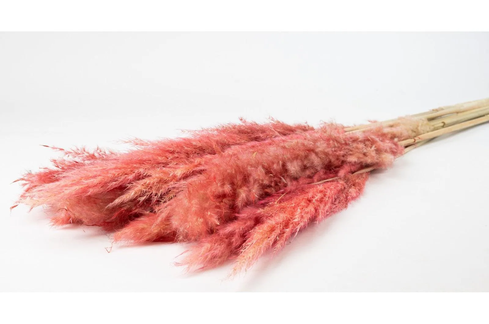 French Pink Pampas Bouquet