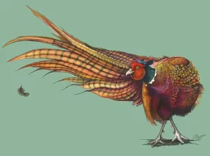 Gorgeous George - Clare Haggas Prints