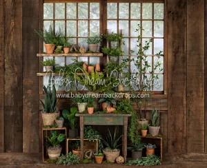 Gorgeous Green House Side (JA)