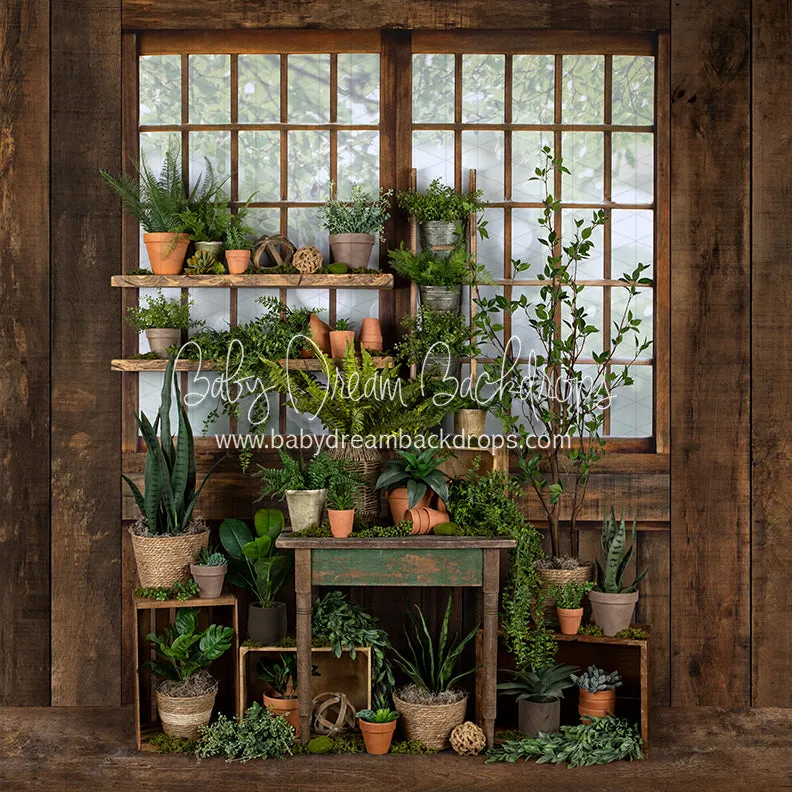 Gorgeous Green House Side (JA)