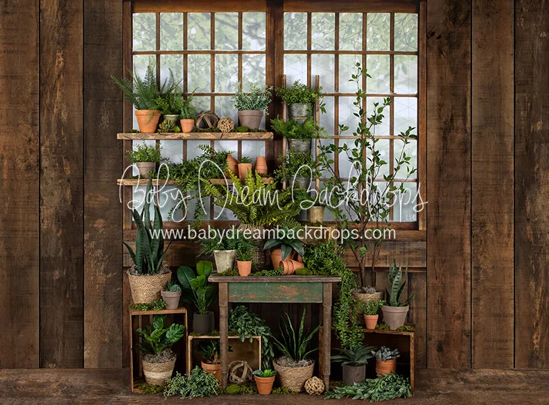 Gorgeous Green House Side (JA)