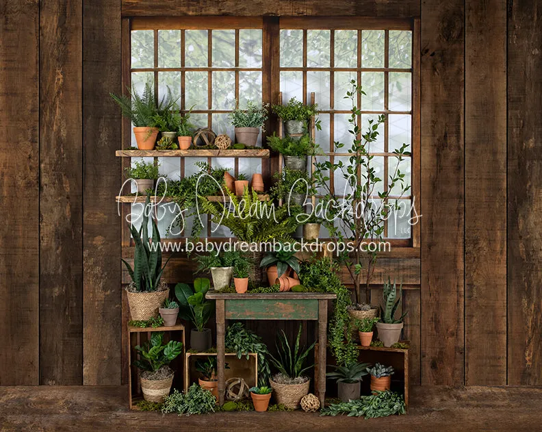 Gorgeous Green House Side (JA)