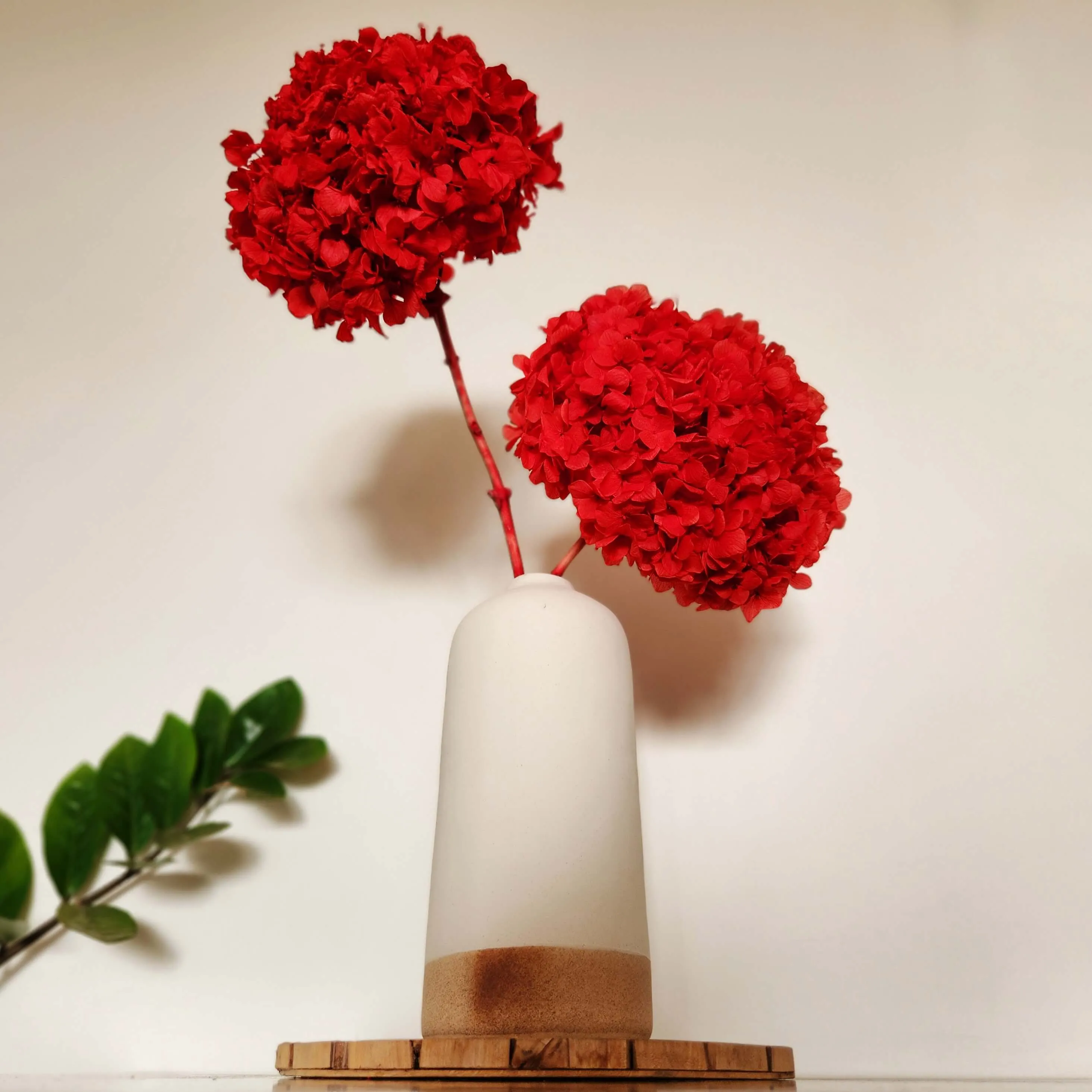 Gorgeous Red Hydrangea Stems