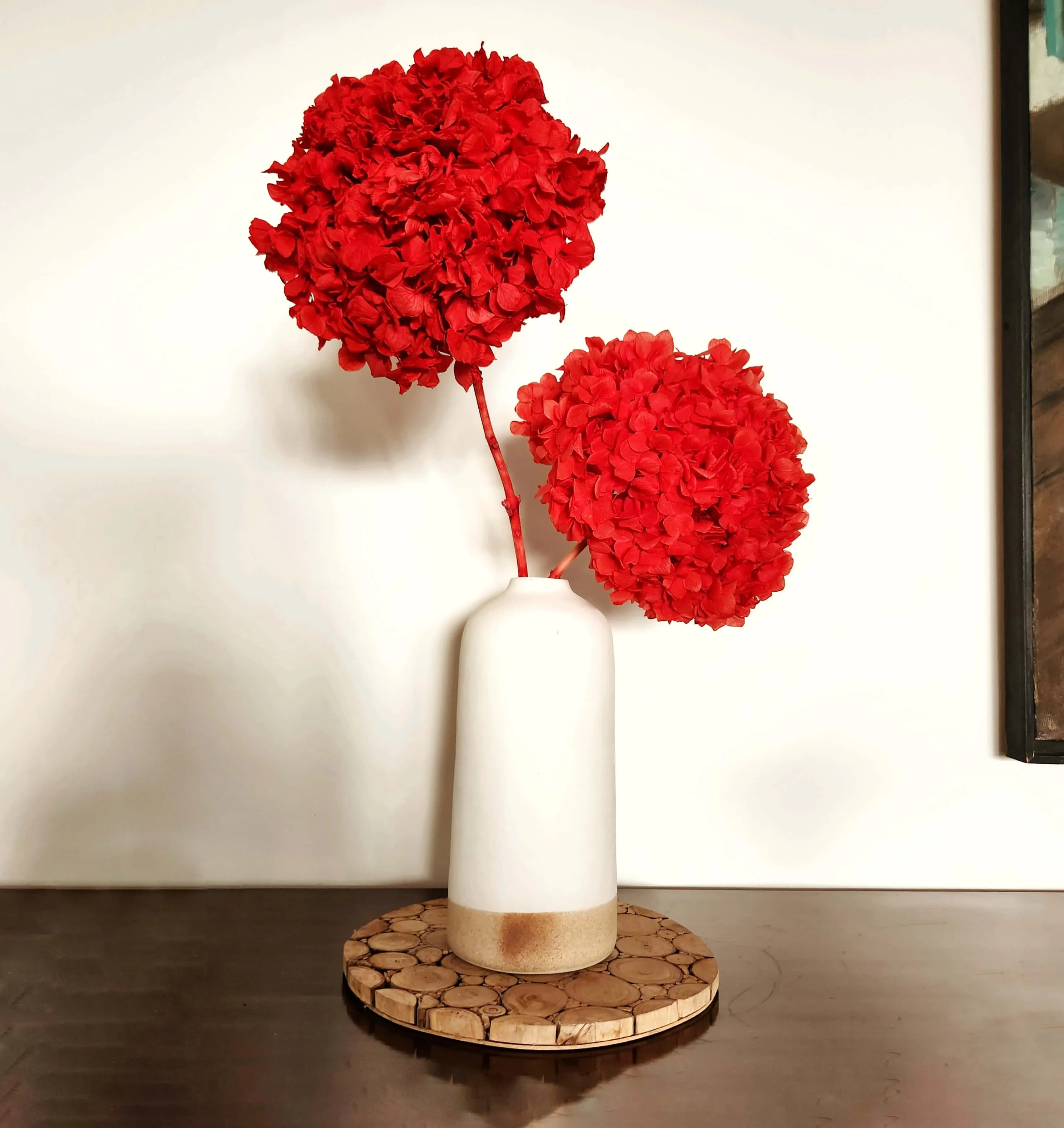 Gorgeous Red Hydrangea Stems