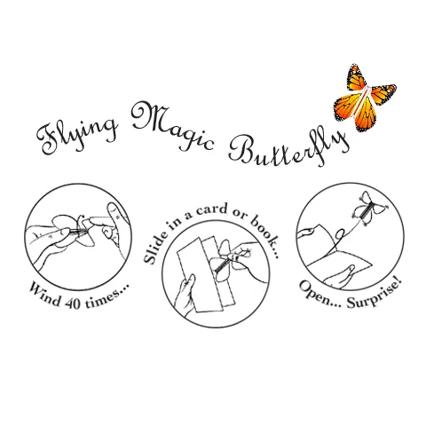 Magical Butterfly