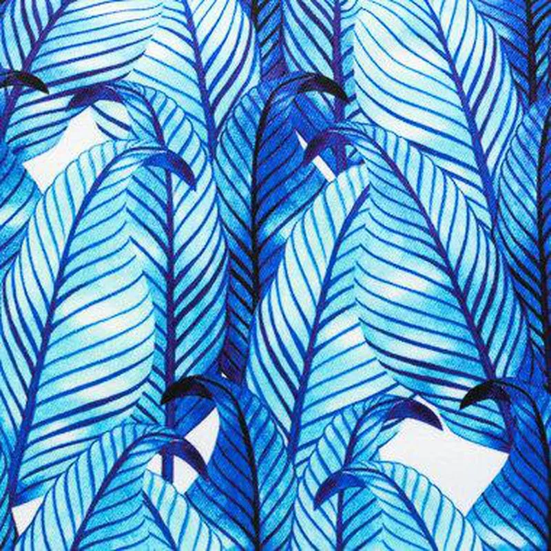 Plumas
