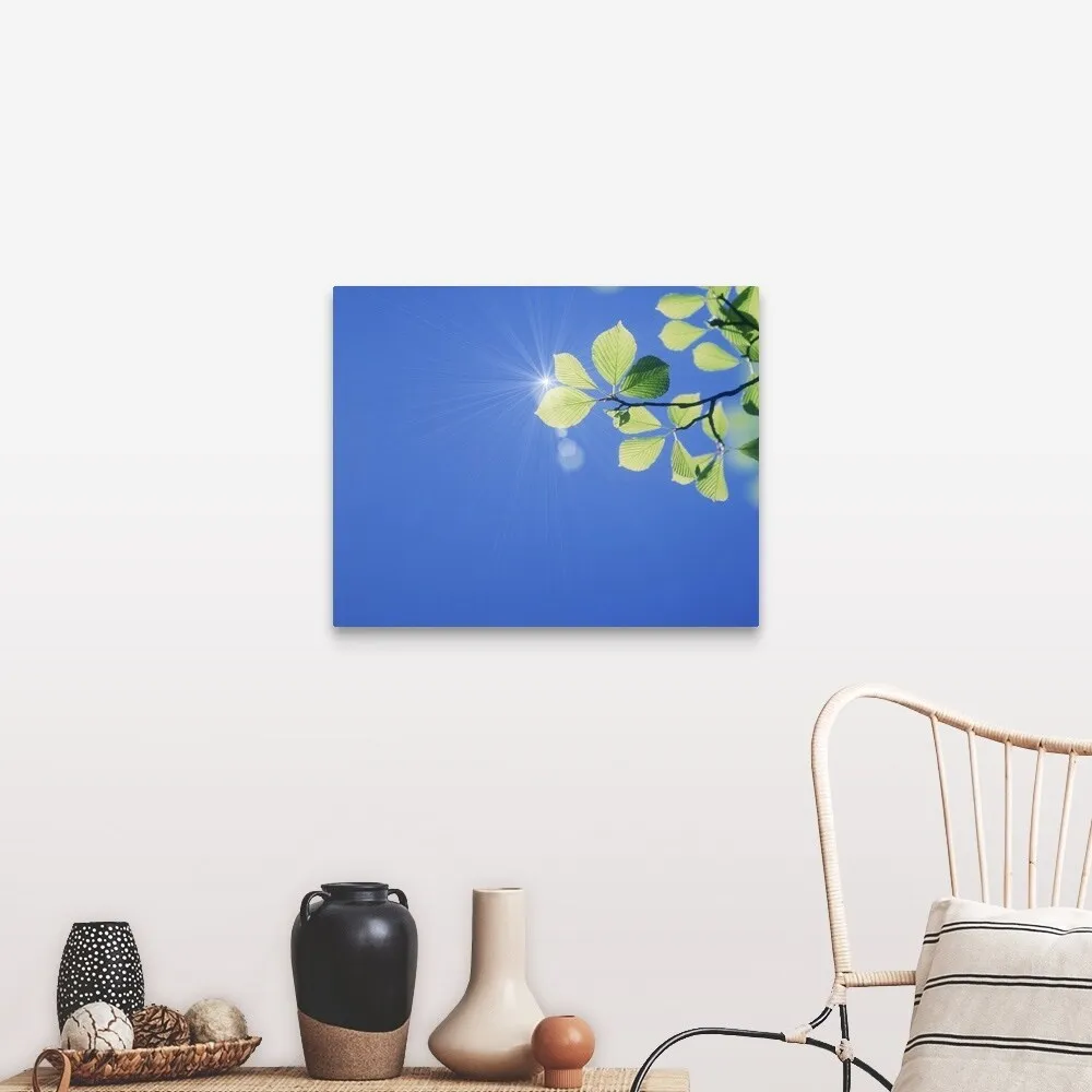 "Branch of leaves against sky, sun shining in background, close-up" Canvas Wall Art