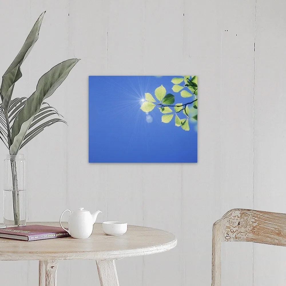 "Branch of leaves against sky, sun shining in background, close-up" Canvas Wall Art