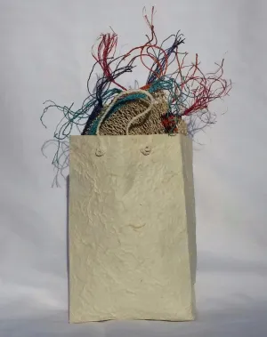 Sa Paper Gift Bag - Wholesale
