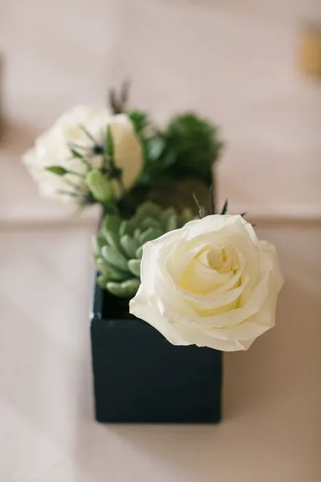 Simply Elegant Wedding