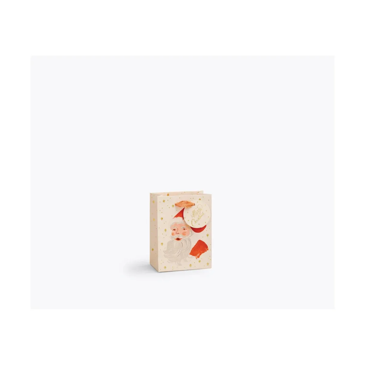 Small Holiday Gift Bag