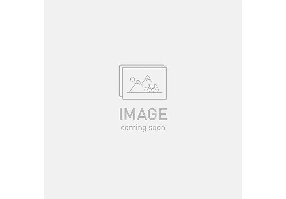 Specialized 2020 Epic S-Works Carbon Shimano 29 Satin Chameleon Supernova/Holo