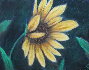 Yellow Petalled ~ Art Print