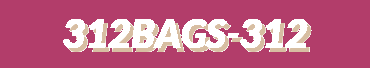 312Bags | Premium Waterproof & Fashionable Bags